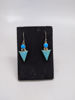 Turquoise Dangle Earrings